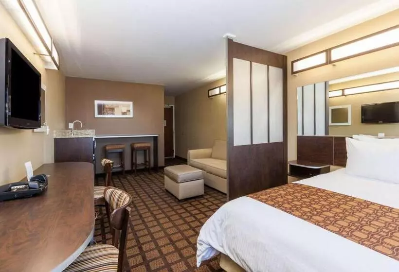 スタンダードスタジオ, Microtel Inn & Suites By Wyndham Wheeler Ridge
