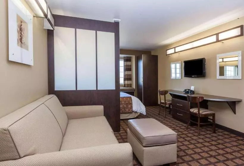スタンダードスタジオ, Microtel Inn & Suites By Wyndham Wheeler Ridge
