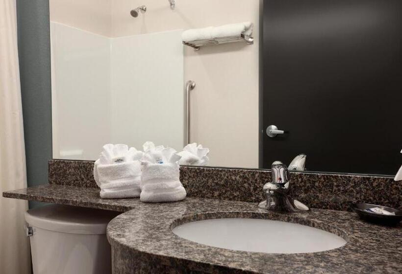 标准间, Microtel Inn & Suites Wilkes Barre