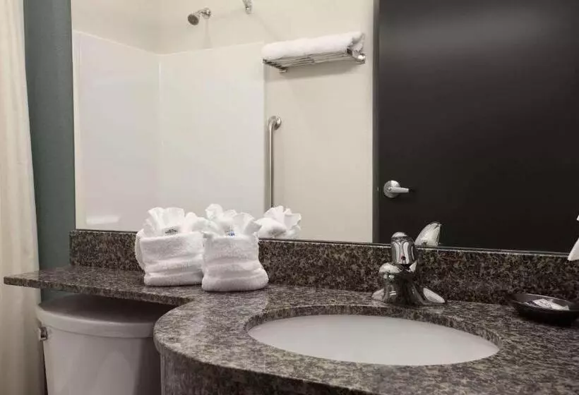 障害者適応デラックスルーム, Microtel Inn & Suites Wilkes Barre