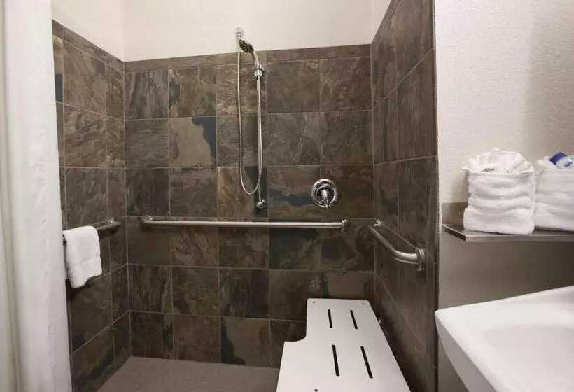 障害者適応デラックスルーム, Microtel Inn & Suites Wilkes Barre