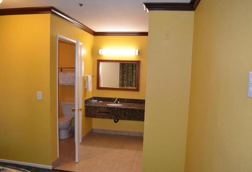 اتاق لوکس, Cloud 9 Inn Lax