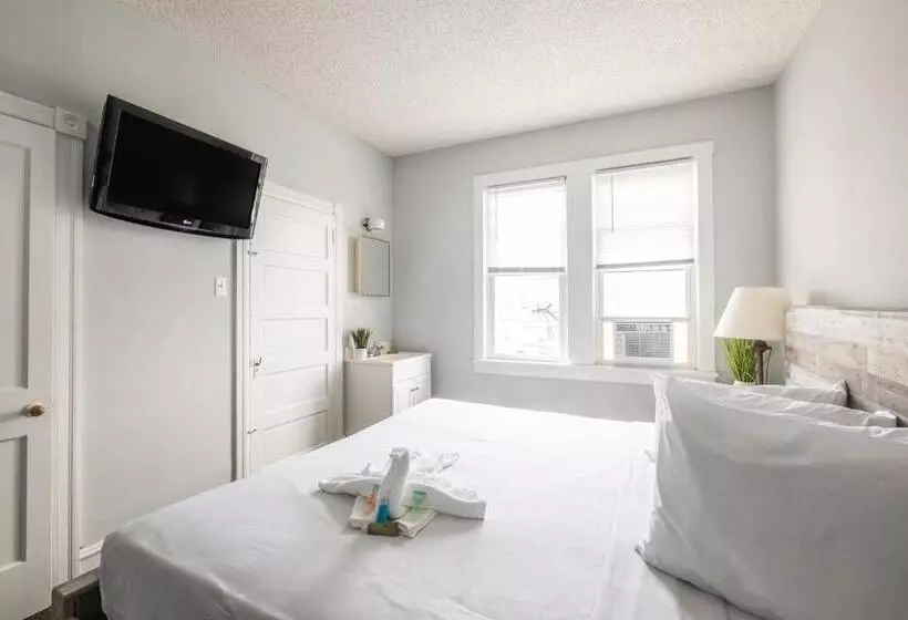 Sviitti King-vuode, The Cove