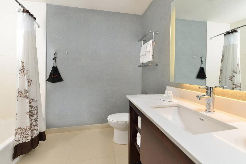 带大床的套房, Residence Inn By Marriott Des Moines Downtown