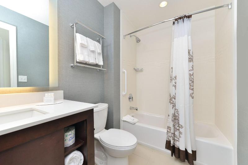 带大床的套房, Residence Inn By Marriott Des Moines Downtown