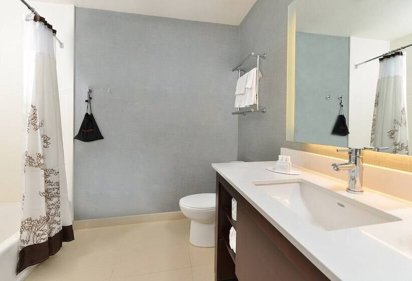 带2个卧室的套房, Residence Inn By Marriott Des Moines Downtown