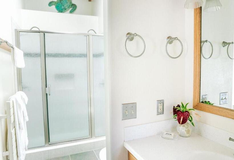 带大床的豪华间, Kilauea Lodge And Restaurant