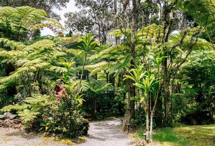 豪华房间, Kilauea Lodge And Restaurant