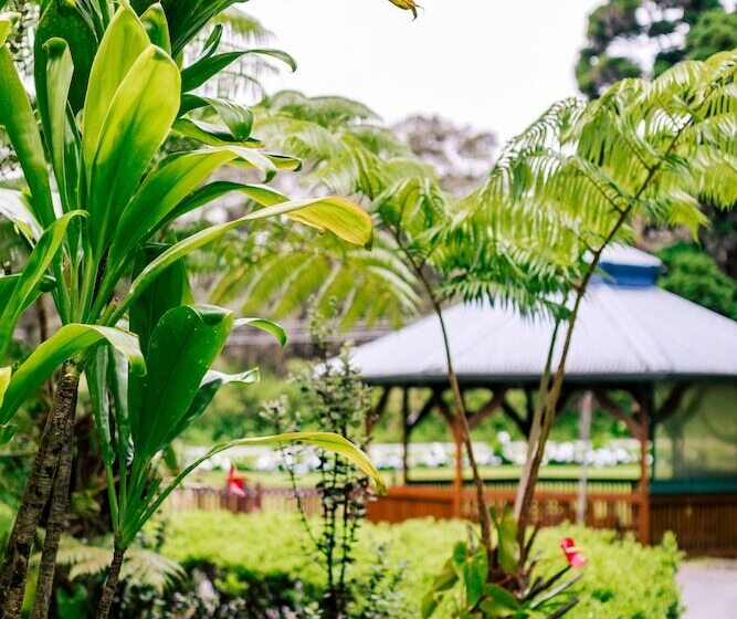 Номер Стандарт, Kilauea Lodge And Restaurant