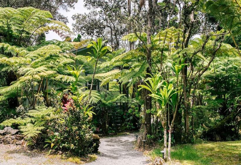 标准间, Kilauea Lodge And Restaurant