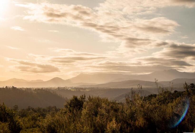 标准间带山景, Forest Harmony