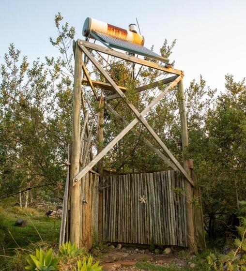 标准房带园景, Forest Harmony