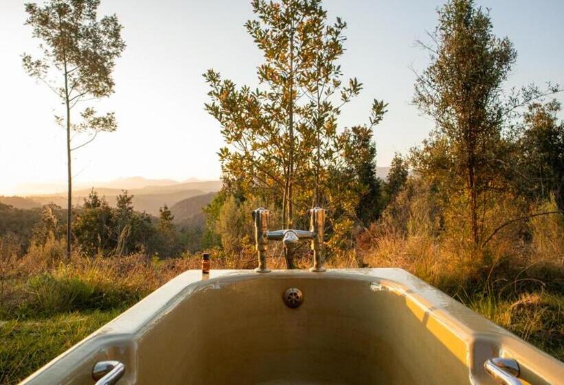 标准房带园景, Forest Harmony