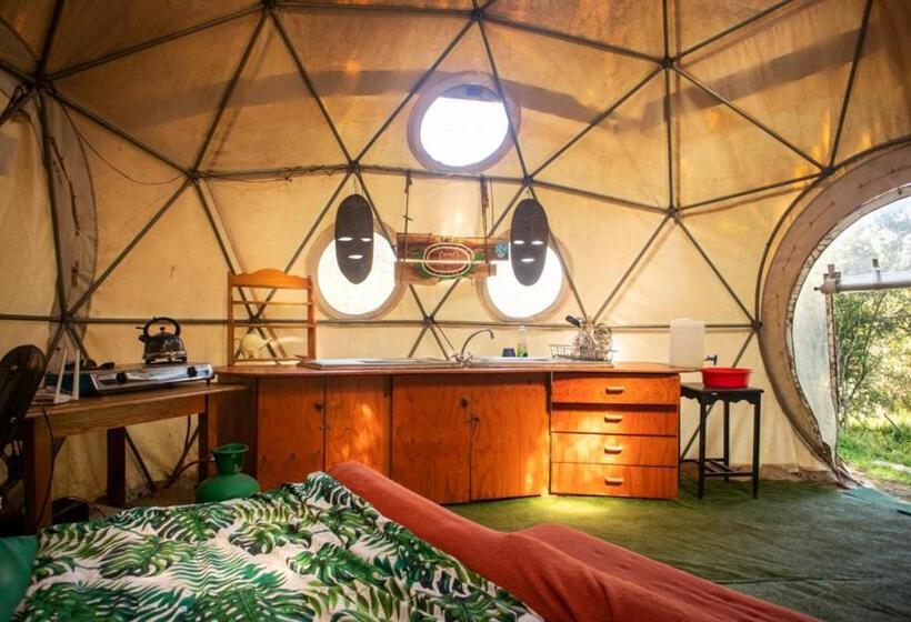 标准房带园景, Forest Harmony