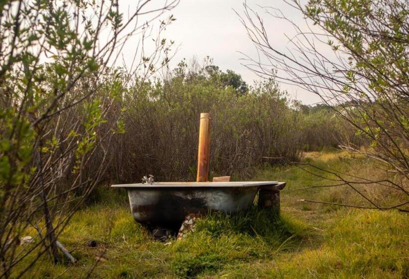 带观景的标准间, Forest Harmony