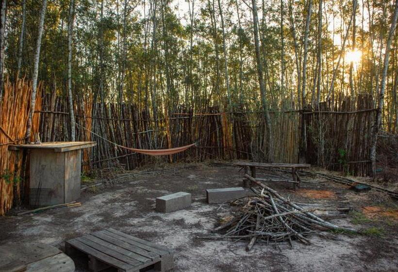 标准间, Forest Harmony