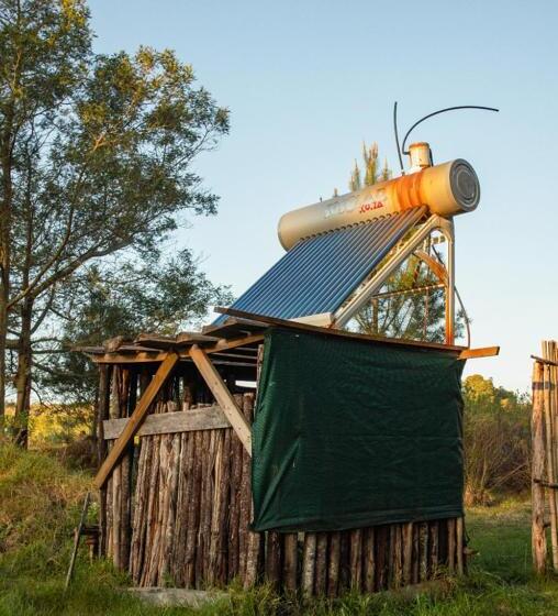 标准间, Forest Harmony