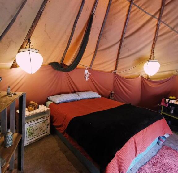 标准间内部标间, Forest Harmony