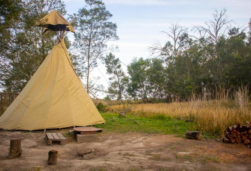 标准间内部标间, Forest Harmony