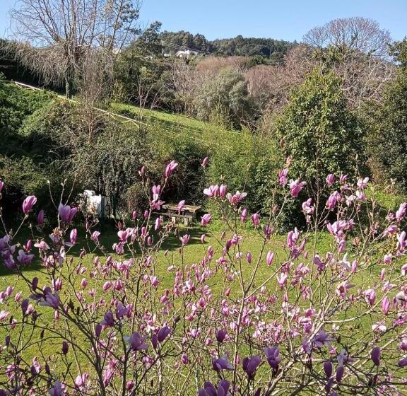 스탠다드 싱글 룸, Hostal San Cristobal Pontedeume