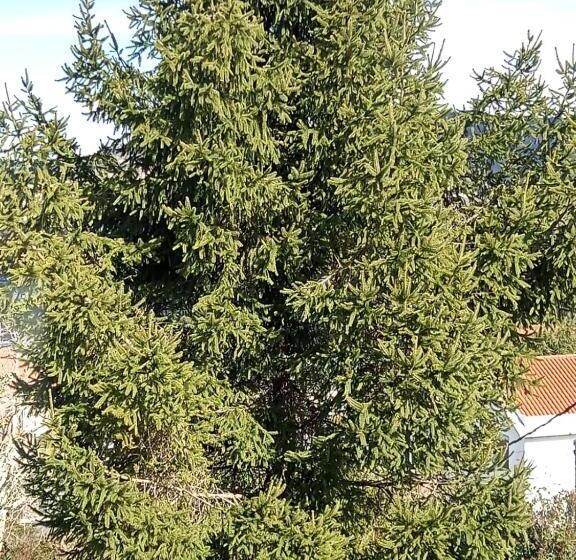 스탠다드 룸, Hostal San Cristobal Pontedeume