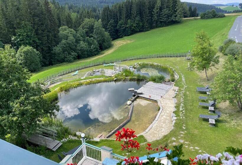 شقة غرفة نوم واحدة مزودة بشُرفة, Narnhoferwirt