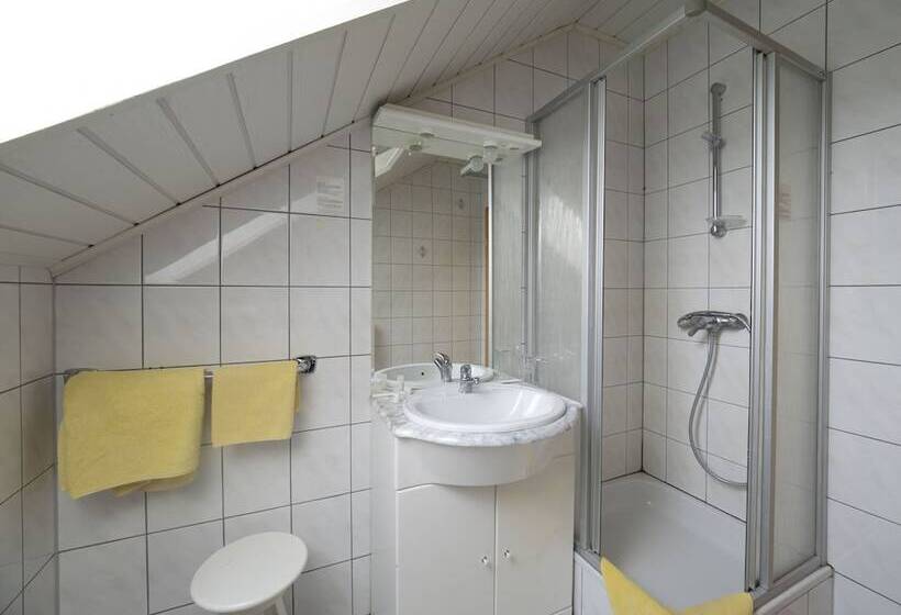 غرفة قياسية, Narnhoferwirt