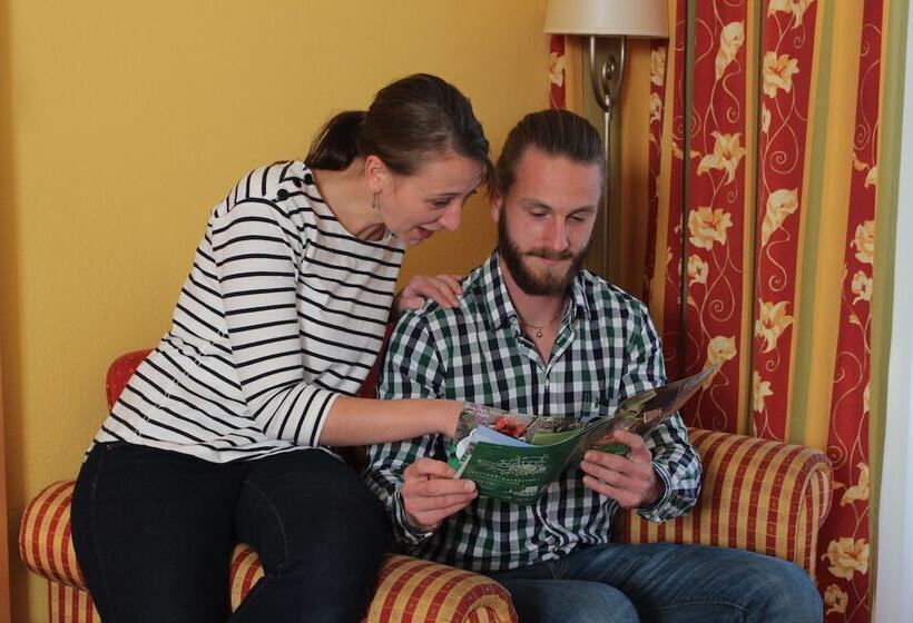 غرفة قياسية مزوَّدة بشُرفة, Narnhoferwirt