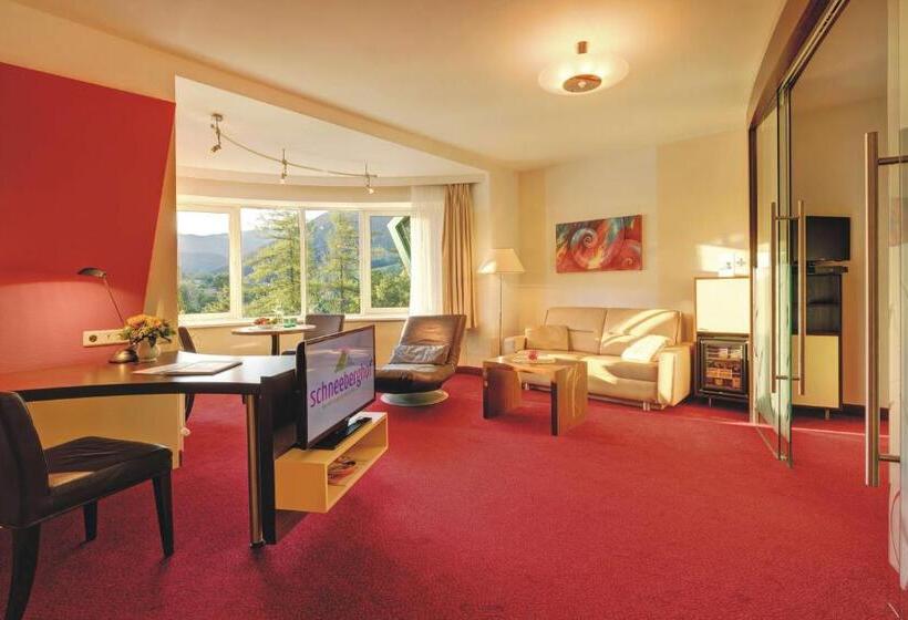 小型套房, Schneeberghof