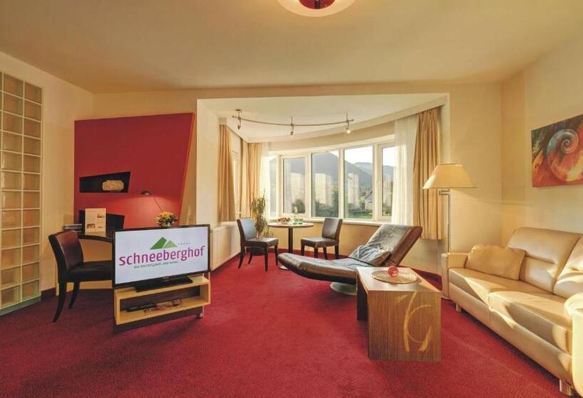 小型套房, Schneeberghof