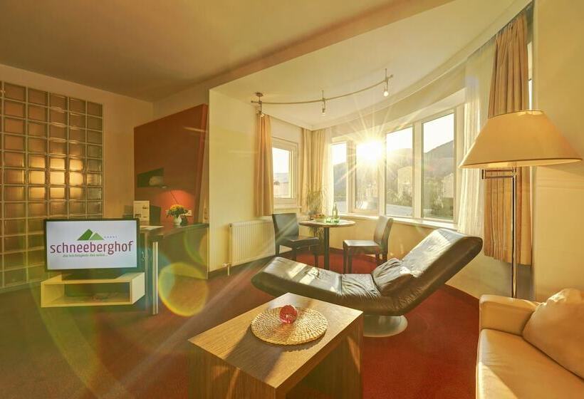 小型套房, Schneeberghof