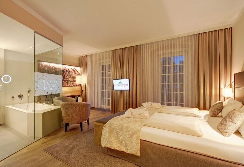 Номер Deluxe, Schneeberghof