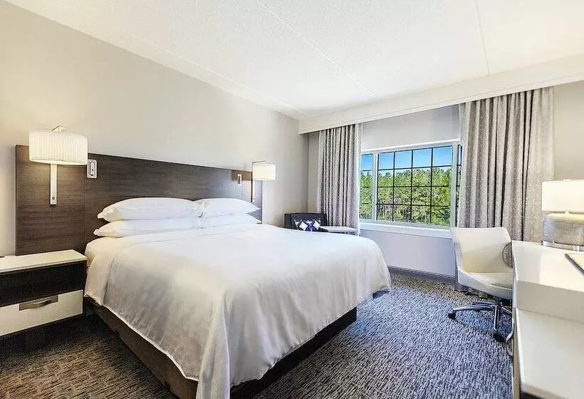 エクゼクティブスイート, Sheraton Jacksonville