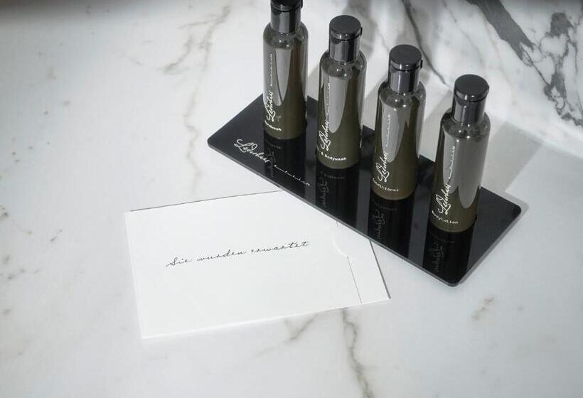 اتاق سوپریور, The Guesthouse Vienna