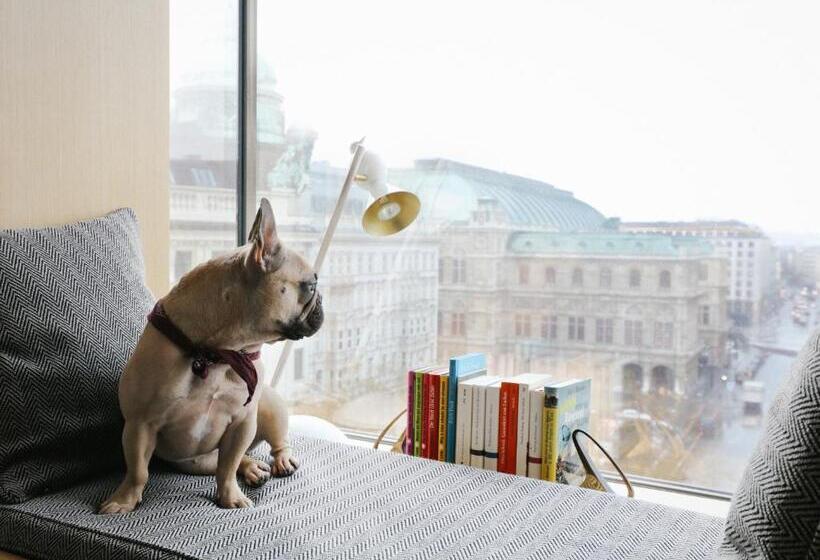 اتاق لوکس, The Guesthouse Vienna