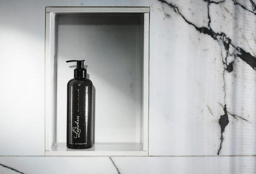 اتاق داخلی دلوکس, The Guesthouse Vienna