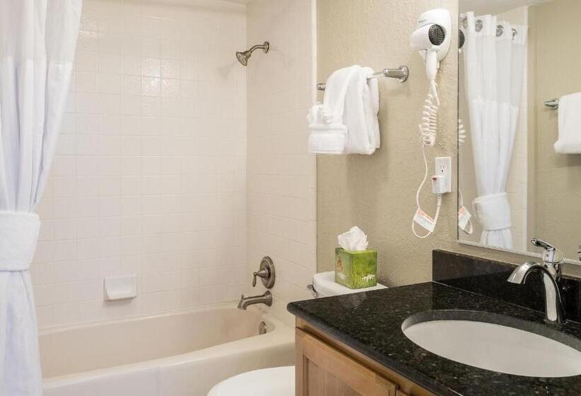 سوئیت 2 خوابه, Sweetwater Lift Lodge