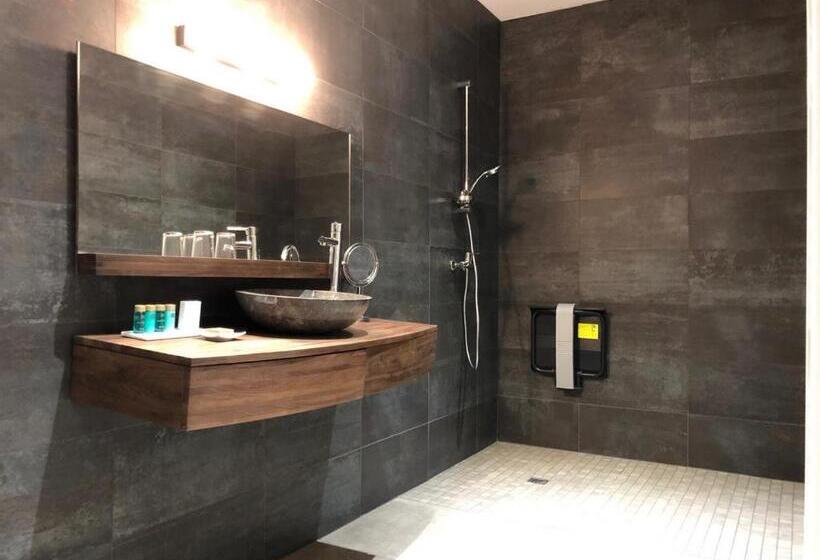 غرفة قياسية, Domaine De Monplaisir