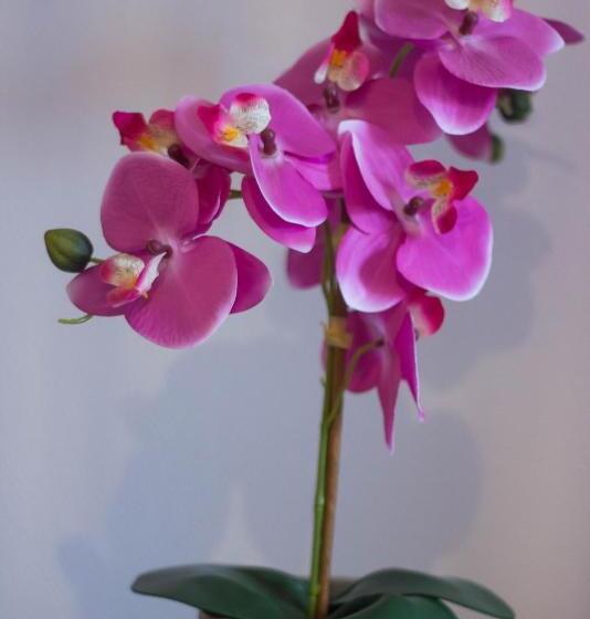 스탠다드 트리플 룸, Les Chambres Touristique Juléa