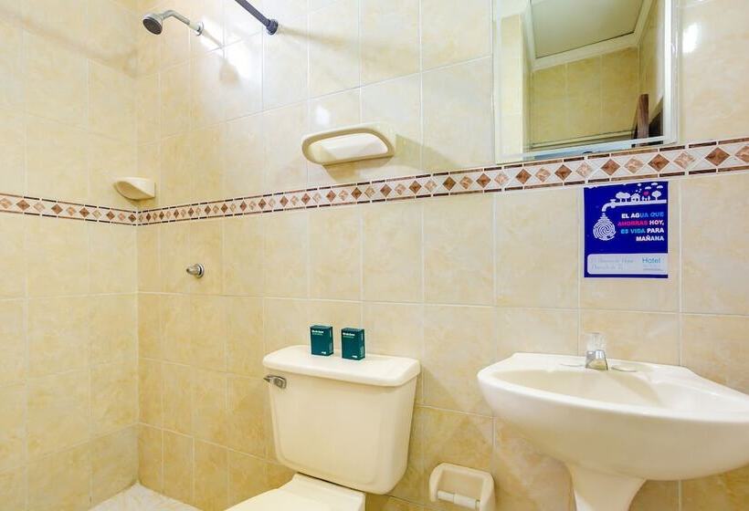 חדר סופריור, San Rafael Lg