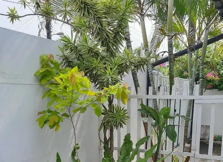 海の見えるスタンダードスタジオ, La Vira Beach Villa