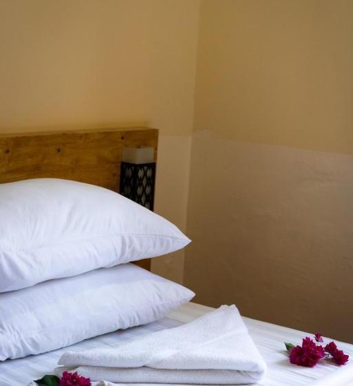 اتاق استاندارد, Ninos K.guraidhoo