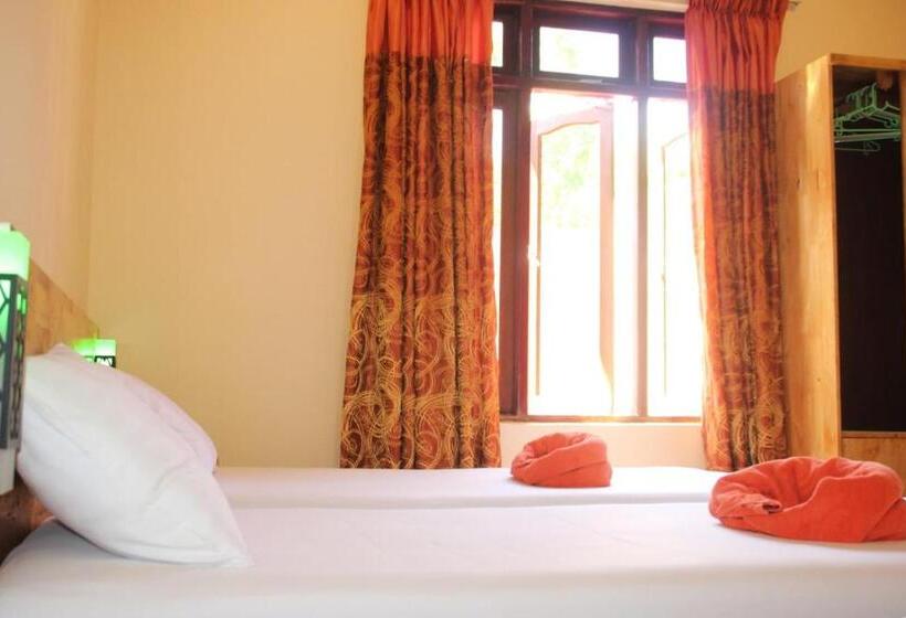 اتاق استاندارد, Ninos K.guraidhoo