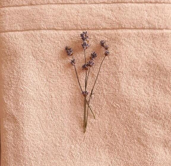 غرفة قياسية, Casas Serranas Margaritas