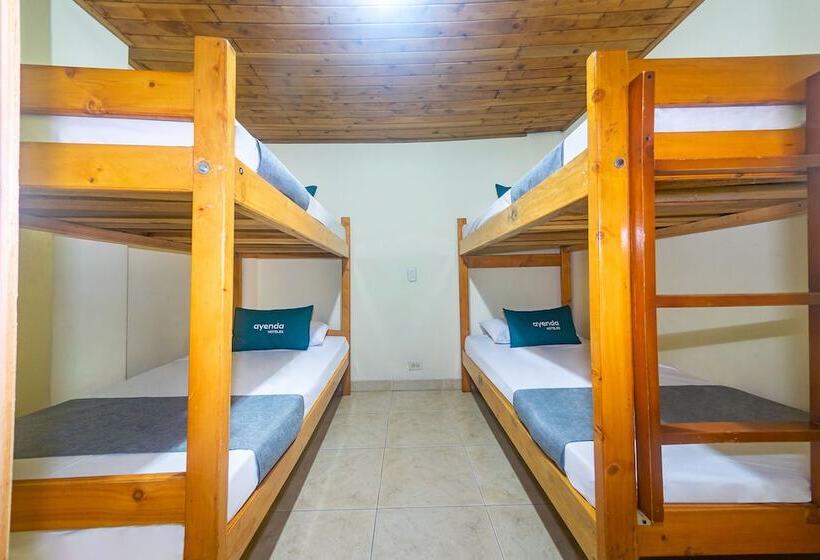 اتاق خانوادگی, Ayenda Pakande