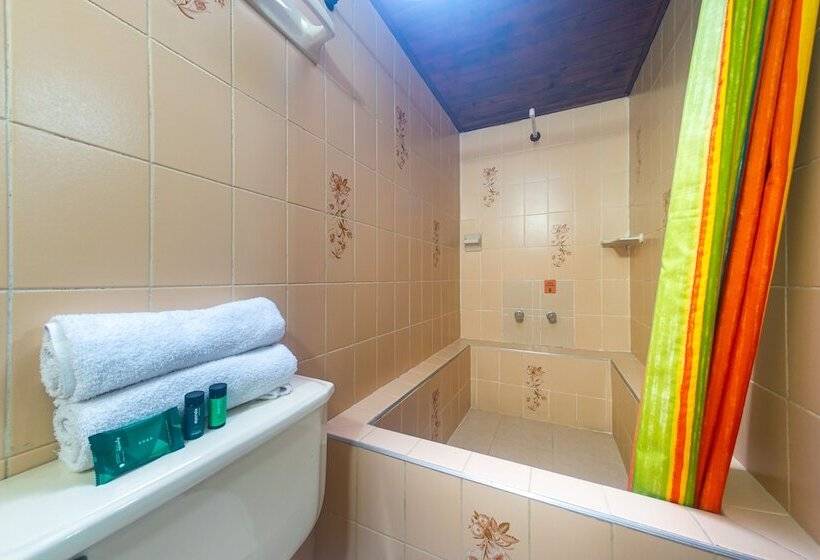 اتاق خانوادگی, Ayenda Pakande