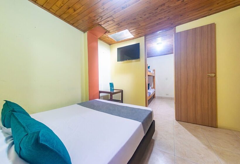 اتاق خانوادگی, Ayenda Pakande