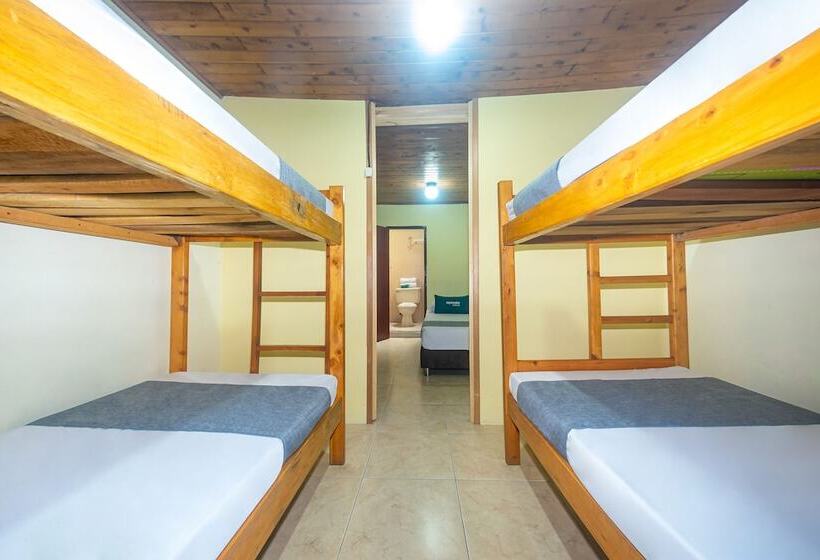 اتاق خانوادگی, Ayenda Pakande