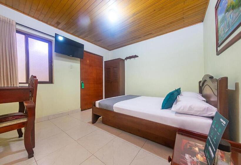 اتاق استاندارد, Ayenda Pakande