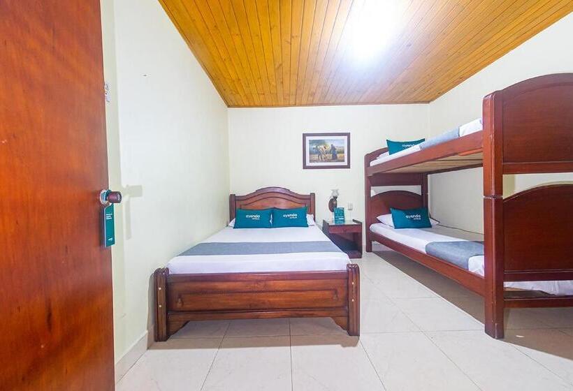 اتاق استاندارد چهار تخته, Ayenda Pakande